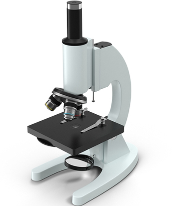 Compound Microscope
